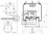 FEBI BILSTEIN 15043 Boot, air suspension